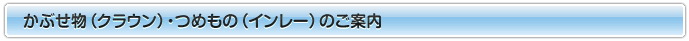 被せもの／詰めもののご案内